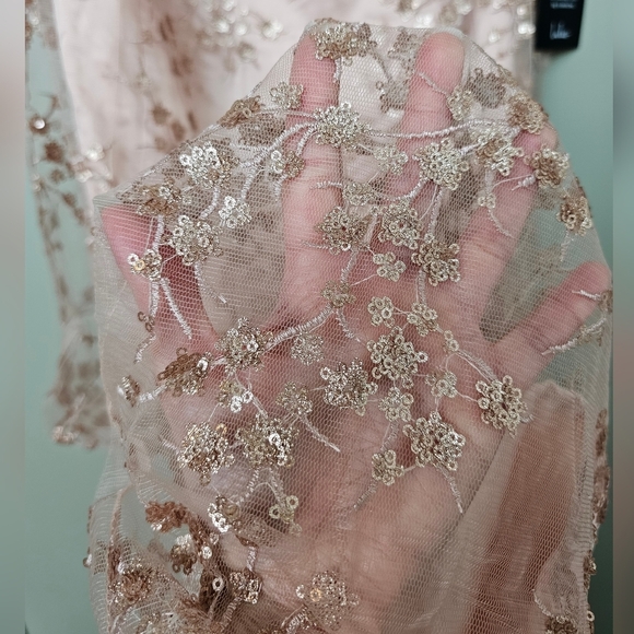 Lulus Blissful Blossoms Blush Pink Mesh Sequin Embroidery Backless Maxi Dress XL - Picture 13 of 13